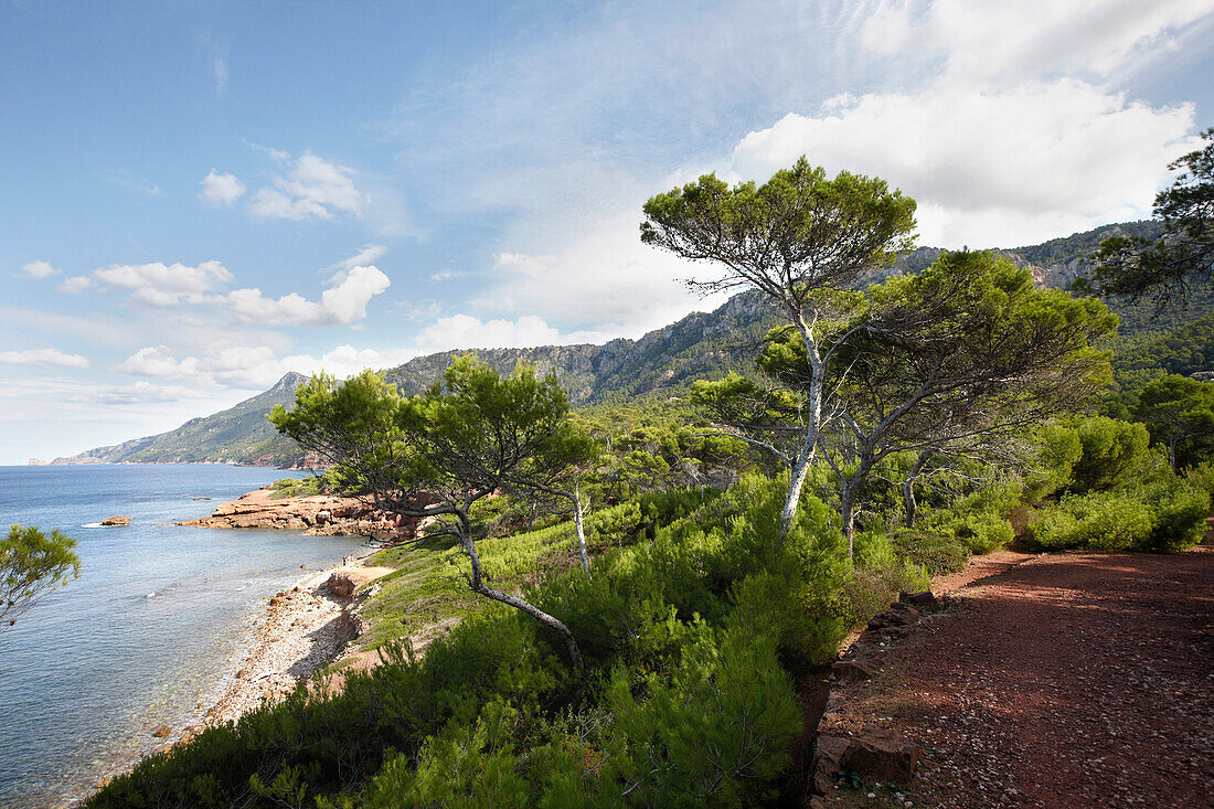 Küstenwanderweg bei Port des Canonge, Platja de Son Bunyola, westl. Valldemossa, Tramuntana, Mallorca, Balearen, Spanien