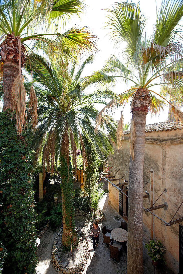 Courtyard with palm trees, Finca Raims, rebuilt vineyard and country hotel, Algaida, Mallorca, Balearic Islands, Spain