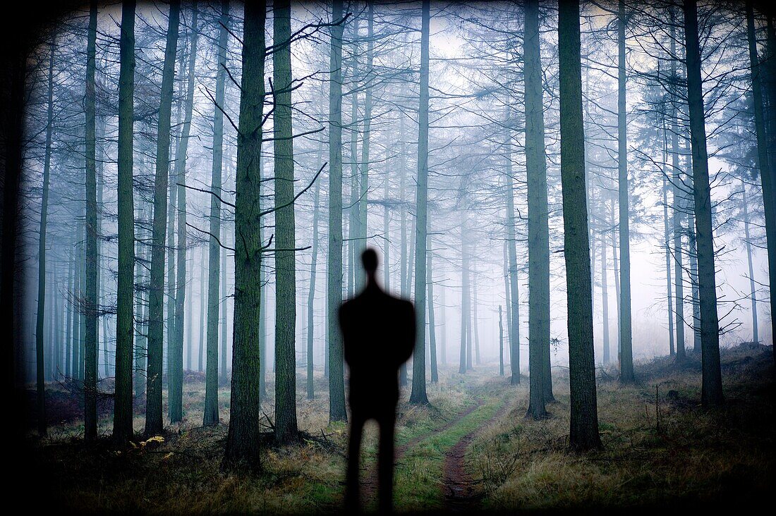 silueta de hombre en el bosque, inspiración, man silhouette in the forest, inspiration
