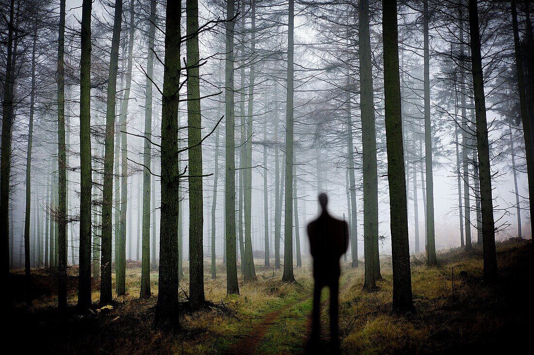 silueta de hombre en el bosque, inspiración, man silhouette in the forest, inspiration