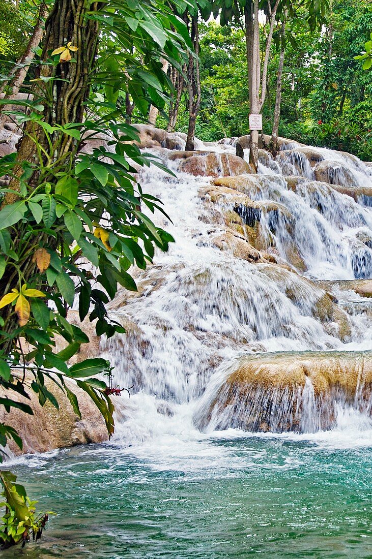 Dunns river falls Dunn´s river falls, Ocho Rios, Jamaica, West Indies, Caribbean, Central America.
