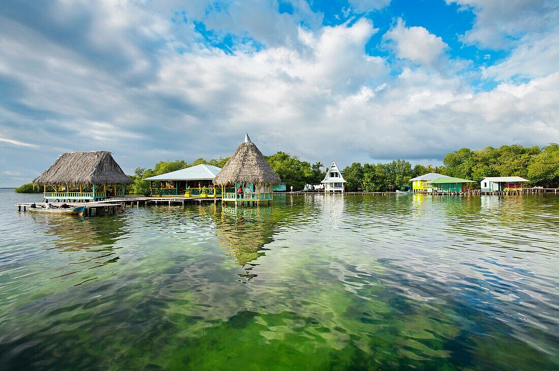 Bastimentos island, Bocas del Toro province, Caribbean sea, Panama.