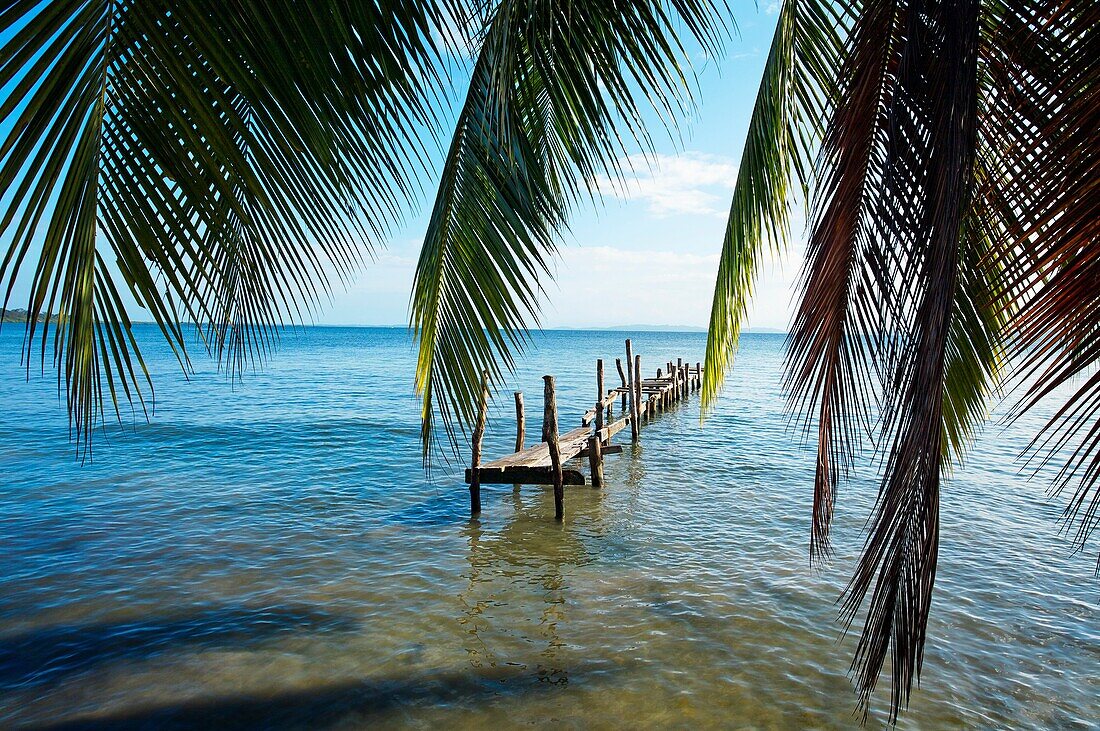 Beach, Carenero island, Bocas del Toro province, Caribbean sea, Panama.