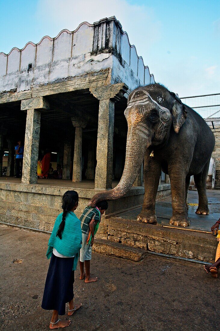 Temple near Chennai, Tamil Nadu, India.