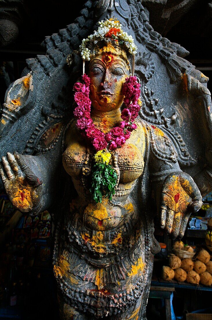 Market, Madurai  Tamil Nadu  India.