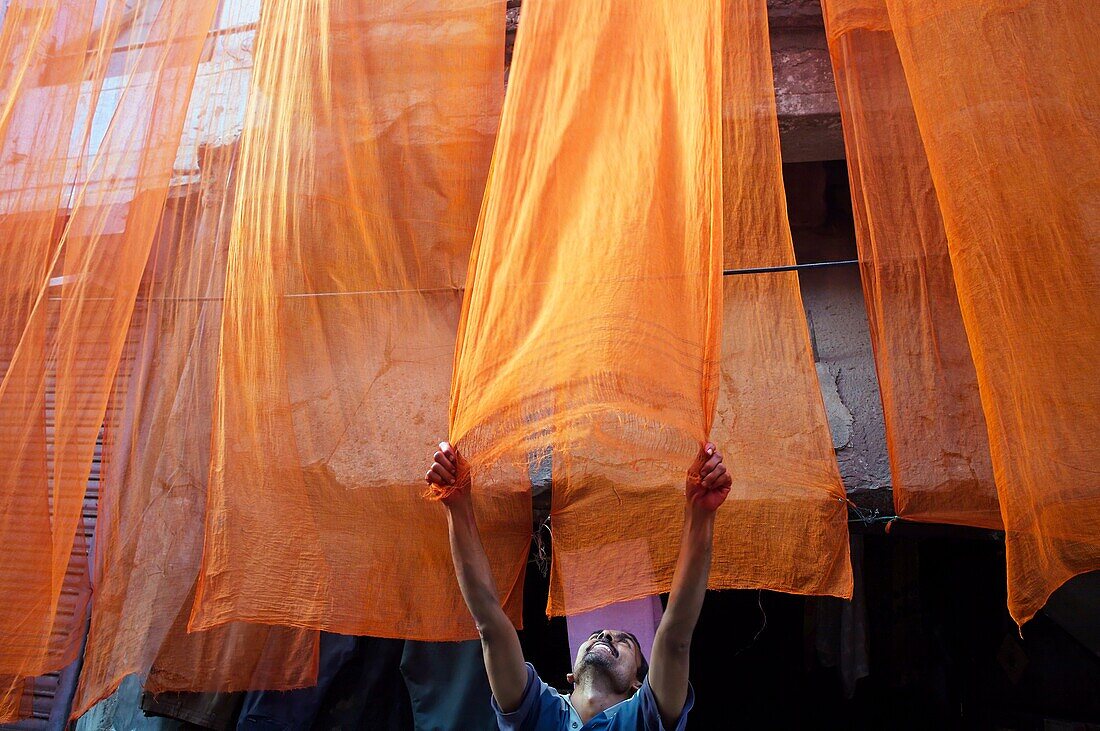 Drying saris  Jodhpur  Rajasthan  India.