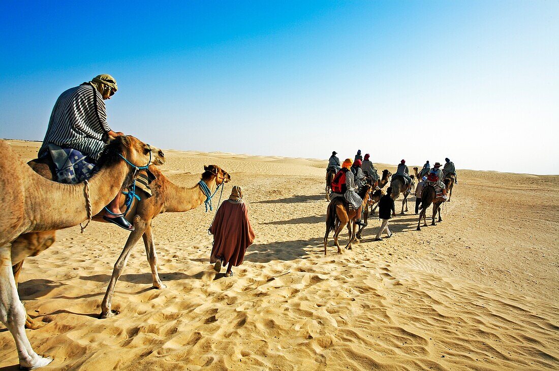 Tourists riding camels  Sahara Desert, Douz, Tunisia