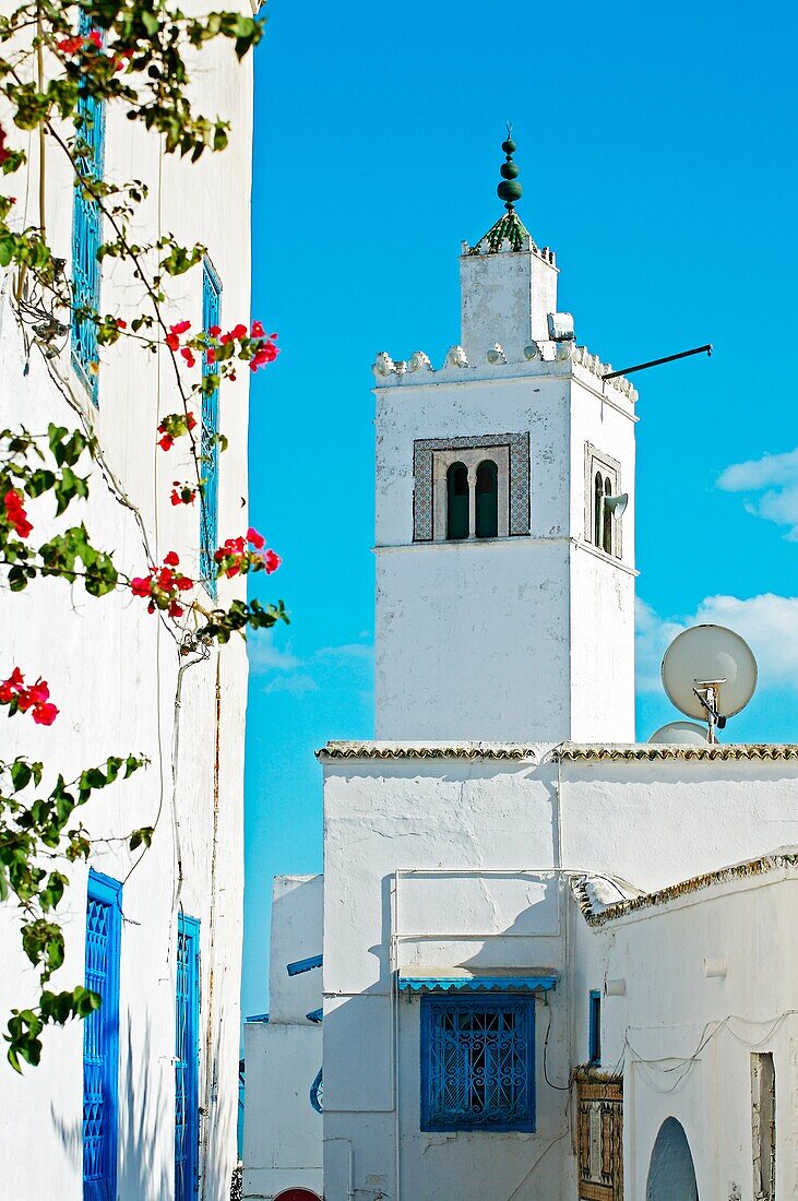 Mosque, Village of Sidi Bou Said near Tunis  Tunisia.