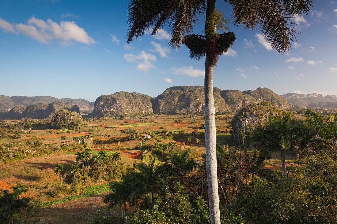 Cuba, Pinar del Rio Province, Vinales, Vinales Valley, elevated view, morning