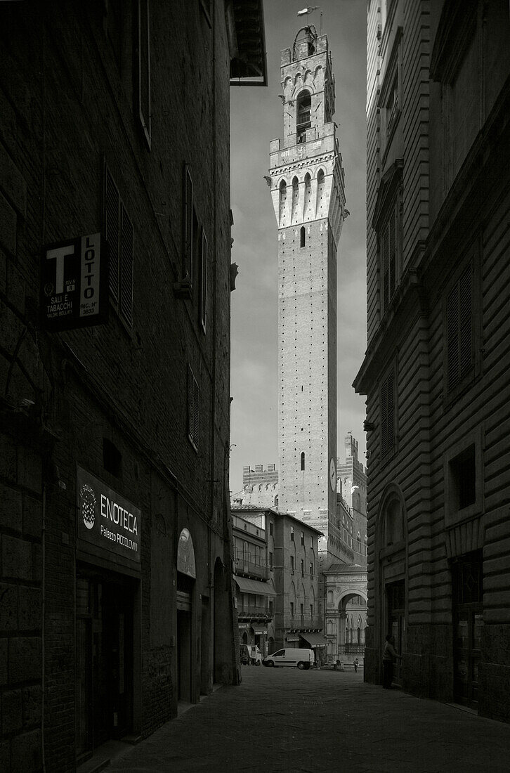 Blick zum Piazza del Campo, Il Campo, Platz, Torre del Mangia, Turm, Palazzo Pubblico, Rathaus, Siena, UNESCO Weltkulturerbe, Toskana, Italien, Europa