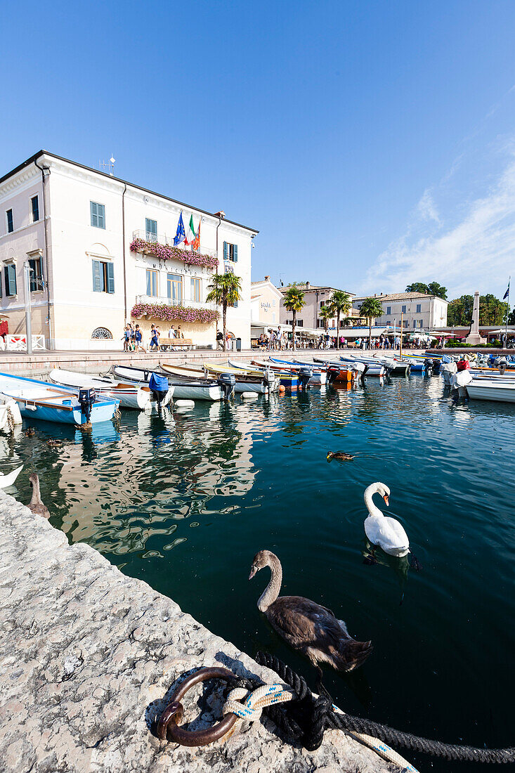 Hafen von Bardolino mit Wasservögeln, Venetien, Italien