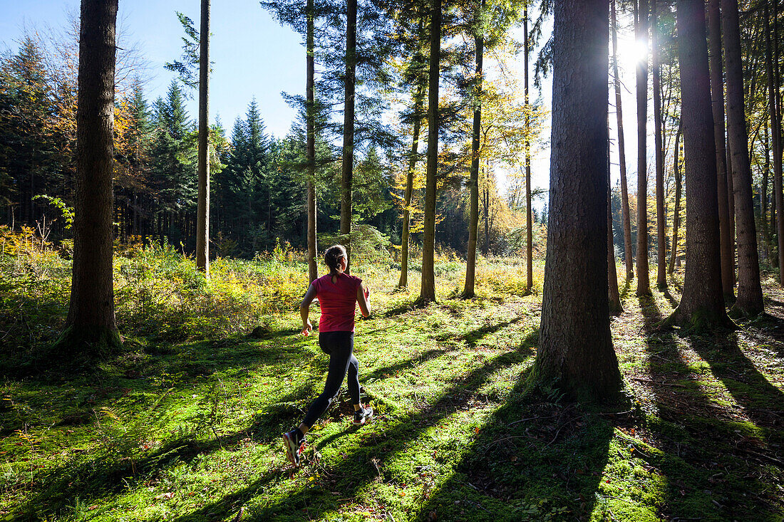 Junge Frau joggt durch herbstlichen Wald, Berg, Bayern, Deutschland