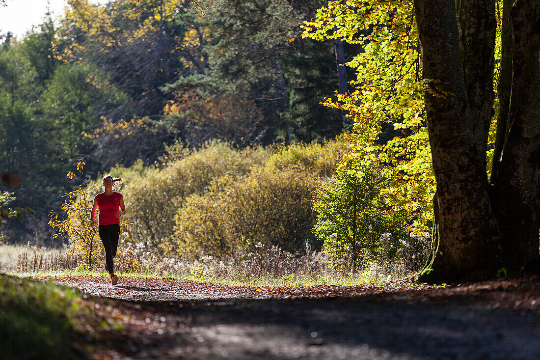 Junge Frau joggt durch herbstlichen Wald, Berg, Bayern, Deutschland
