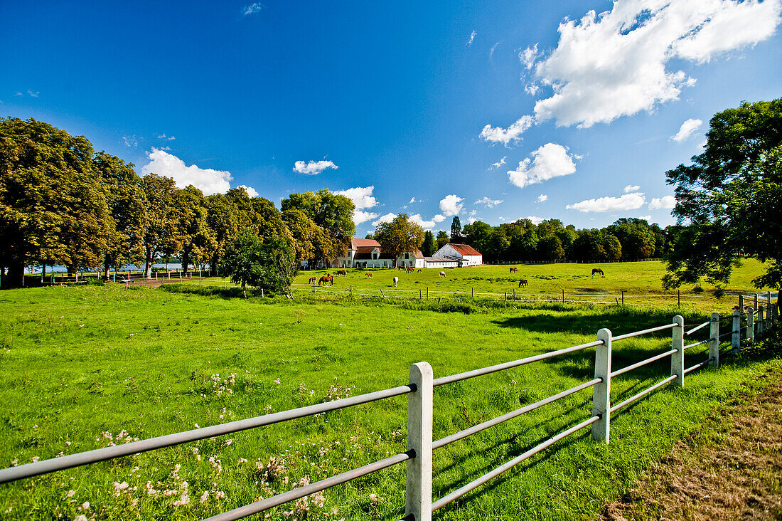 Gut Immenhof bekannt aus den gleichnamigen Filmen, Malente, Schleswig-Holstein, Deutschland