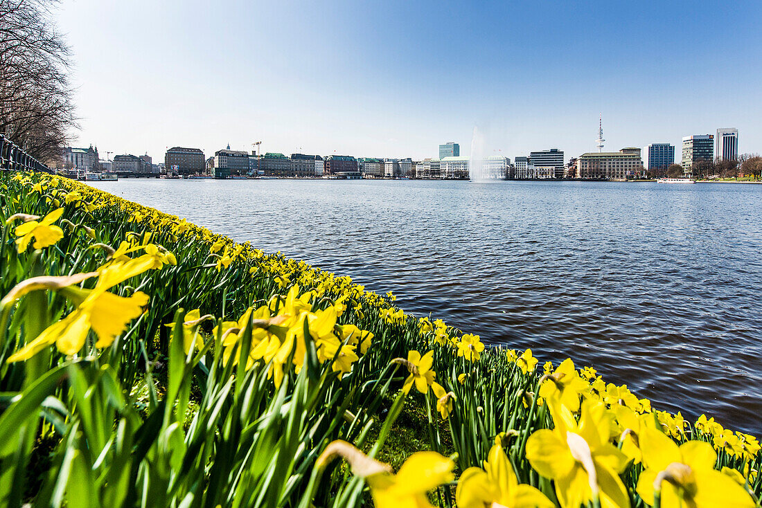 Binnenalster Hamburg im Frühling, Hamburg, Norddeutschland, Deutschland