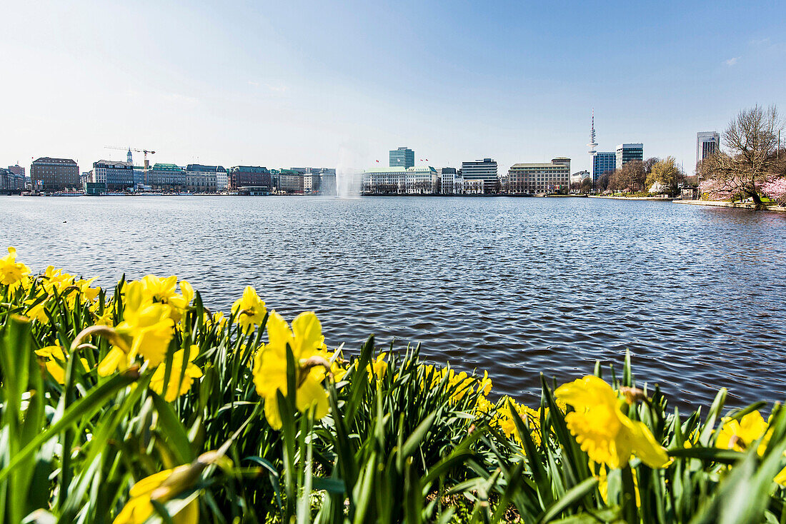 Binnenalster Hamburg im Frühling, Hamburg, Norddeutschland, Deutschland