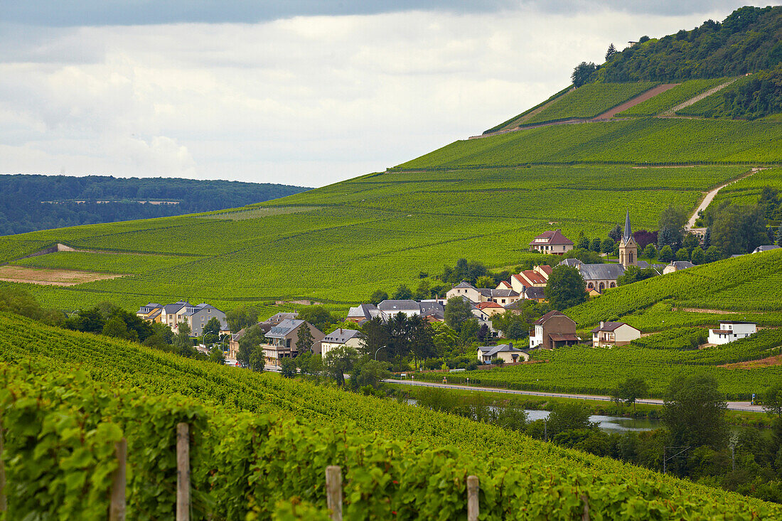 View from near Nittel across the river Mosel at Ahn, Germany, Luxembourg, Europe