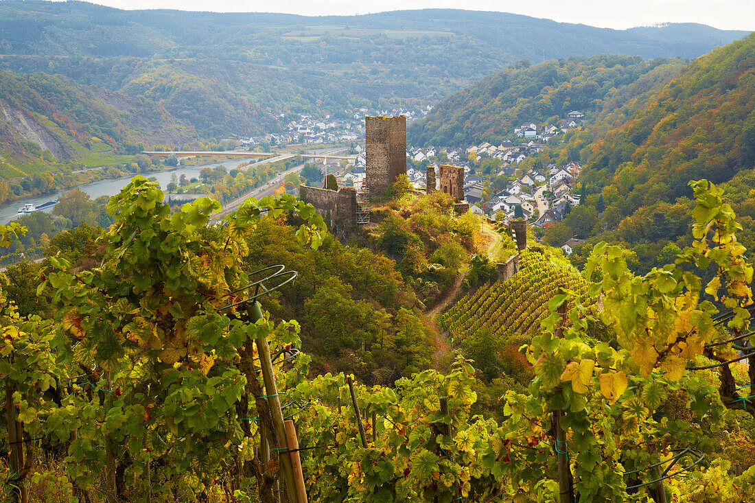 Blick über die Niederburg auf Kobern-Gondorf und das Moseltal, Rheinland-Pfalz, Deutschland, Europa