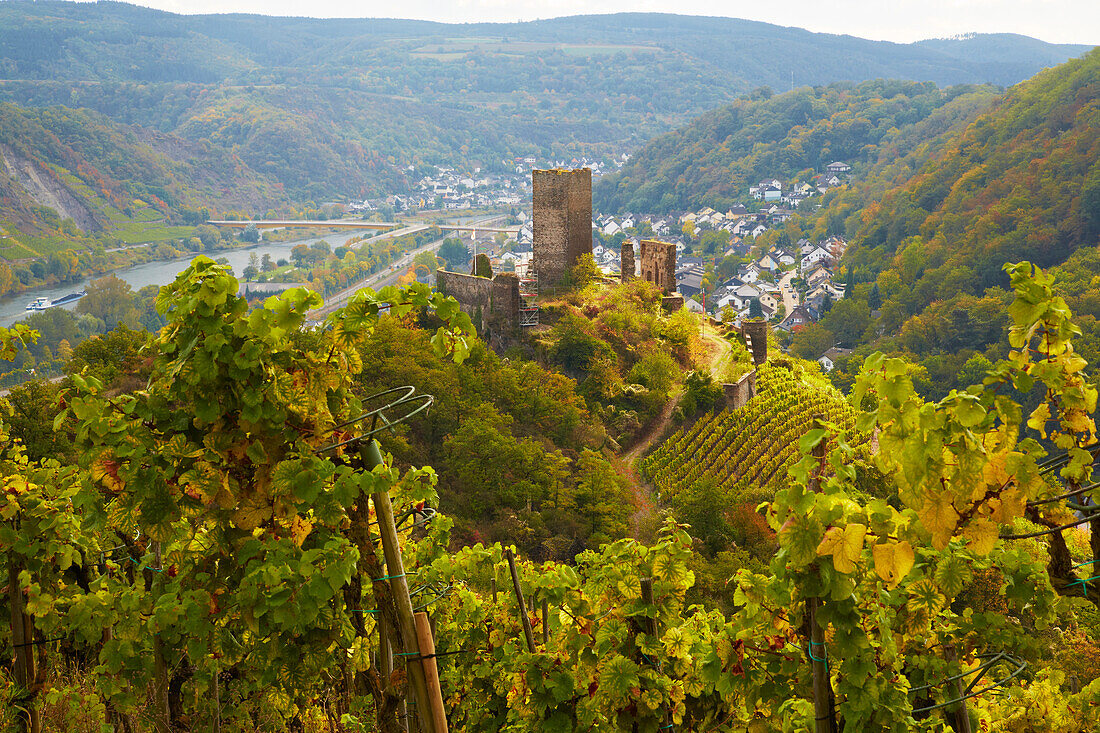 View across the Niederburg and Kobern-Gondorf into the valley of the river Mosel, Rhineland-Palatinate, Germany, Europe