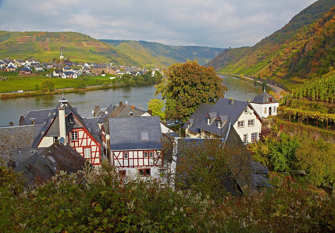 Blick von Beilstein über die Mosel, Rheinland-Pfalz, Deutschland, Europa