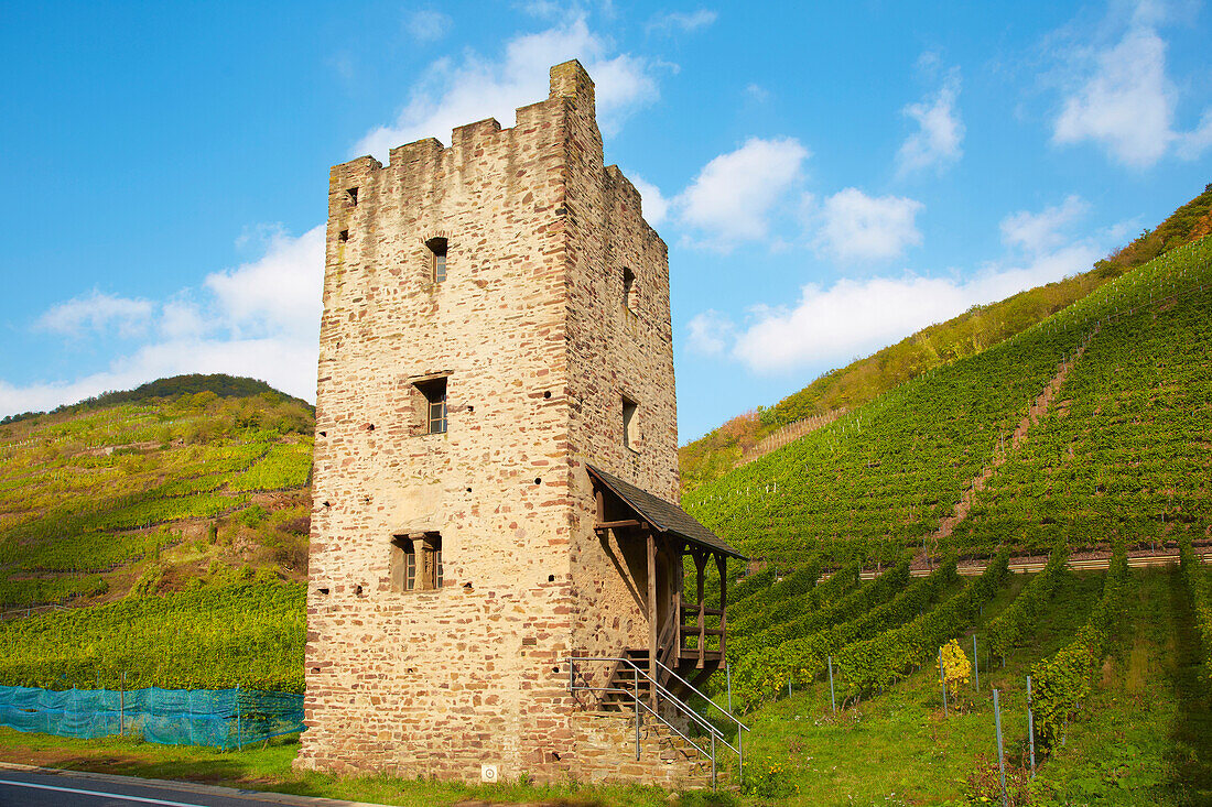 Ruin of a romanesque residential tower, Roman Wohnturm Hofgut Lehmen, Wine district, Ediger-Eller, Mosel, Rhineland-Palatinate, Germany, Europe