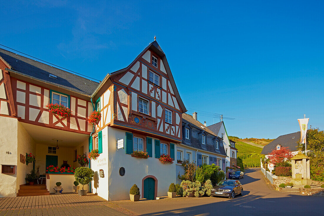 Hof der Grauen Schwestern in Kröv, Mosel, Rheinland-Pfalz, Deutschland, Europa