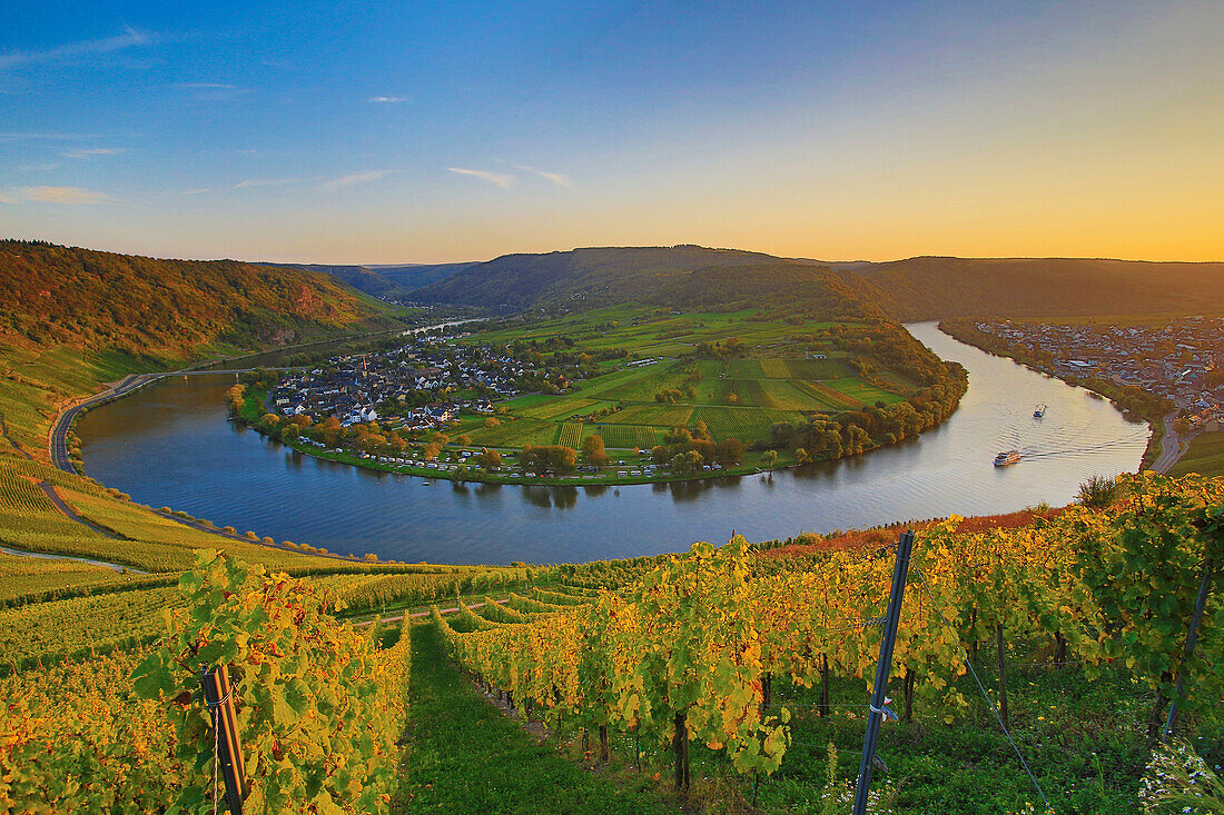 Horseshoe bend of the river Mosel at Kroev in the evening light, Rhineland-Palatinate, Germany, Europe