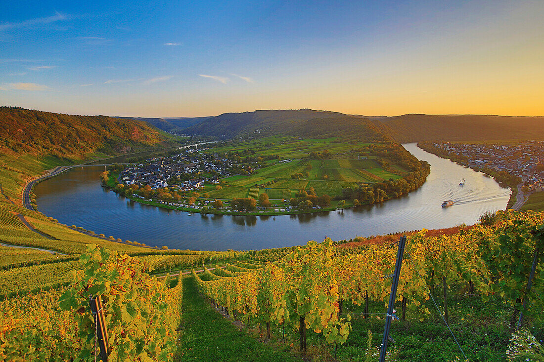 Moselschleife von Kröv im Abendlicht, Rheinland-Pfalz, Deutschland, Europa