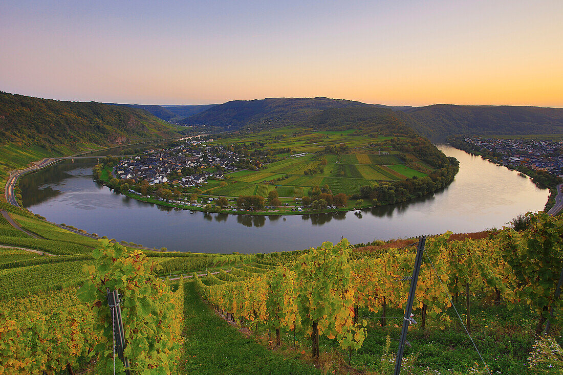 Horseshoe bend of the river Mosel at Kroev in the evening light, Rhineland-Palatinate, Germany, Europe