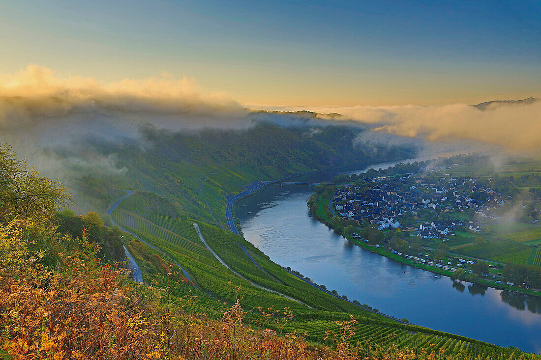 Early morning mist along the River Mosel near Wolf, Rhineland-Palatinate, Germany, Europe