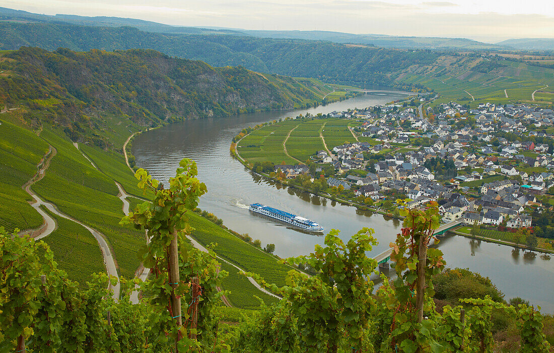 View towards the valley of the river Mosel and Niederemmel, Rhineland-Palatinate, Germany, Europe