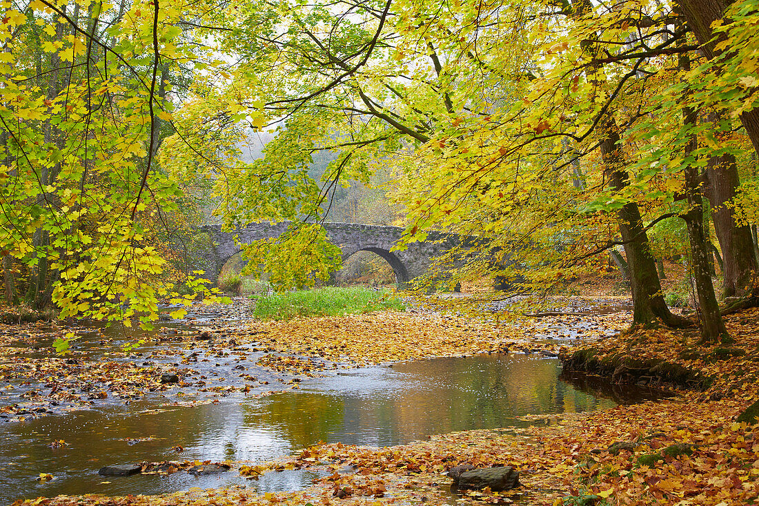 Arched bridge at Grosse Nister river at Marienstatt abbey (13th century), Nistertal, Westerwald, Rhineland-Palatinate, Germany, Europe