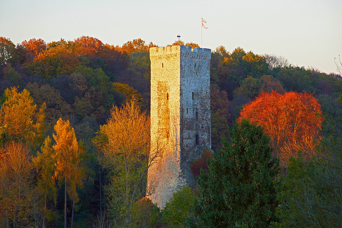 Burgruine Grenzau, Westerwald, Rheinland-Pfalz, Deutschland, Europa