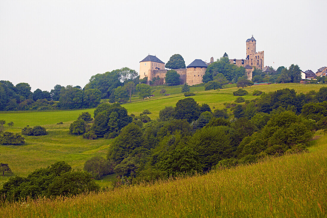 Blick auf Burg Greifenstein, Westerwald, Hessen, Deutschland, Europa