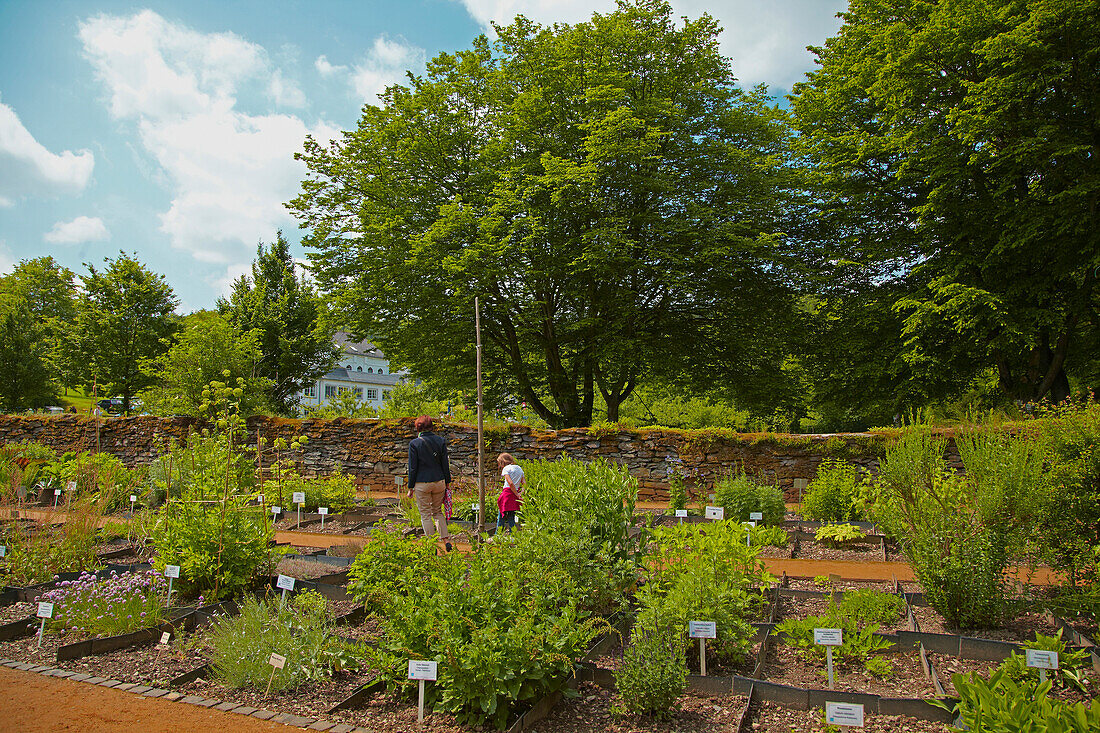 Herbal garden in Abtei Marienstatt, Nistertal, Streithausen, Westerwald, Rhineland-Palatinate, Germany, Europe
