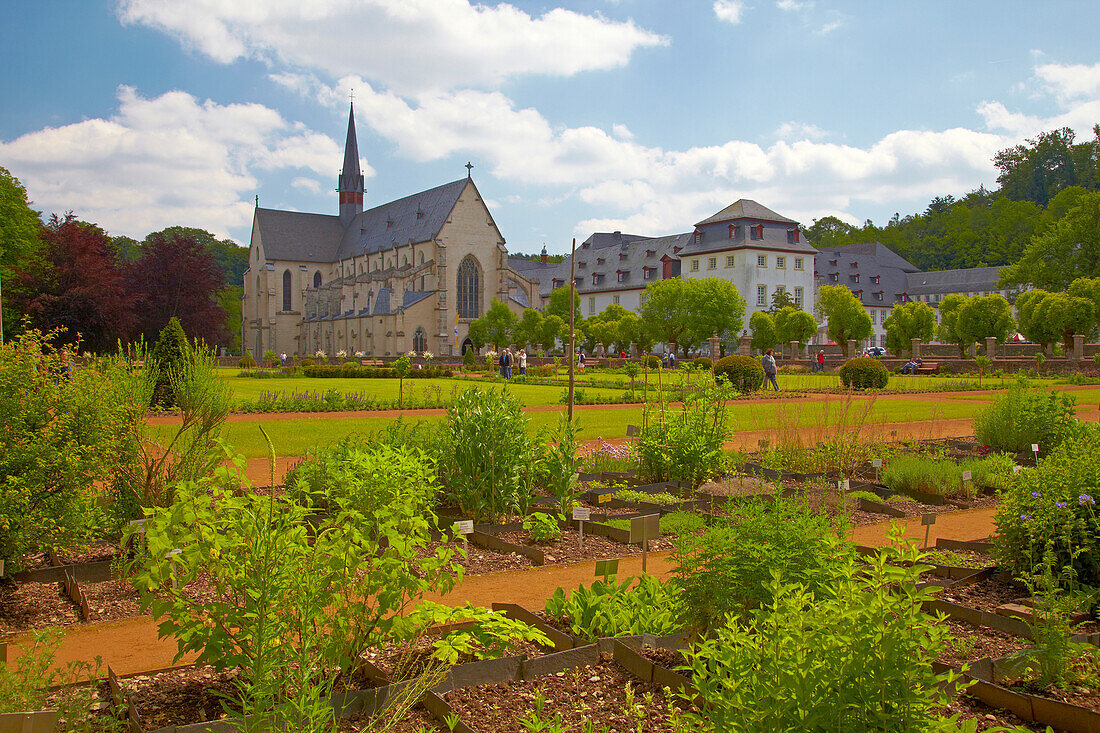 View across the herbal garden at Abtei Marienstatt (13th century), Nistertal, Streithausen, Westerwald, Rhineland-Palatinate, Germany, Europe