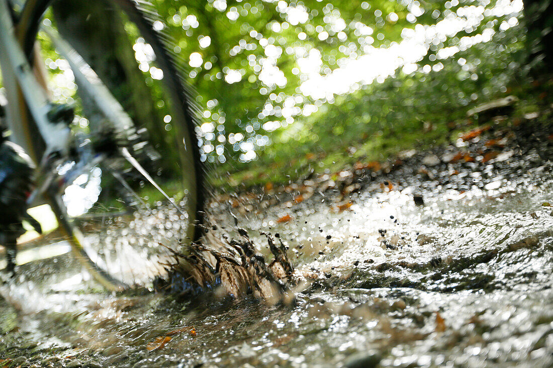 Mann bei einer Cyclocross-Tour im Herbst, Nahaufnahme Rad, Oberambach, Münsing, Bayern, Deutschland