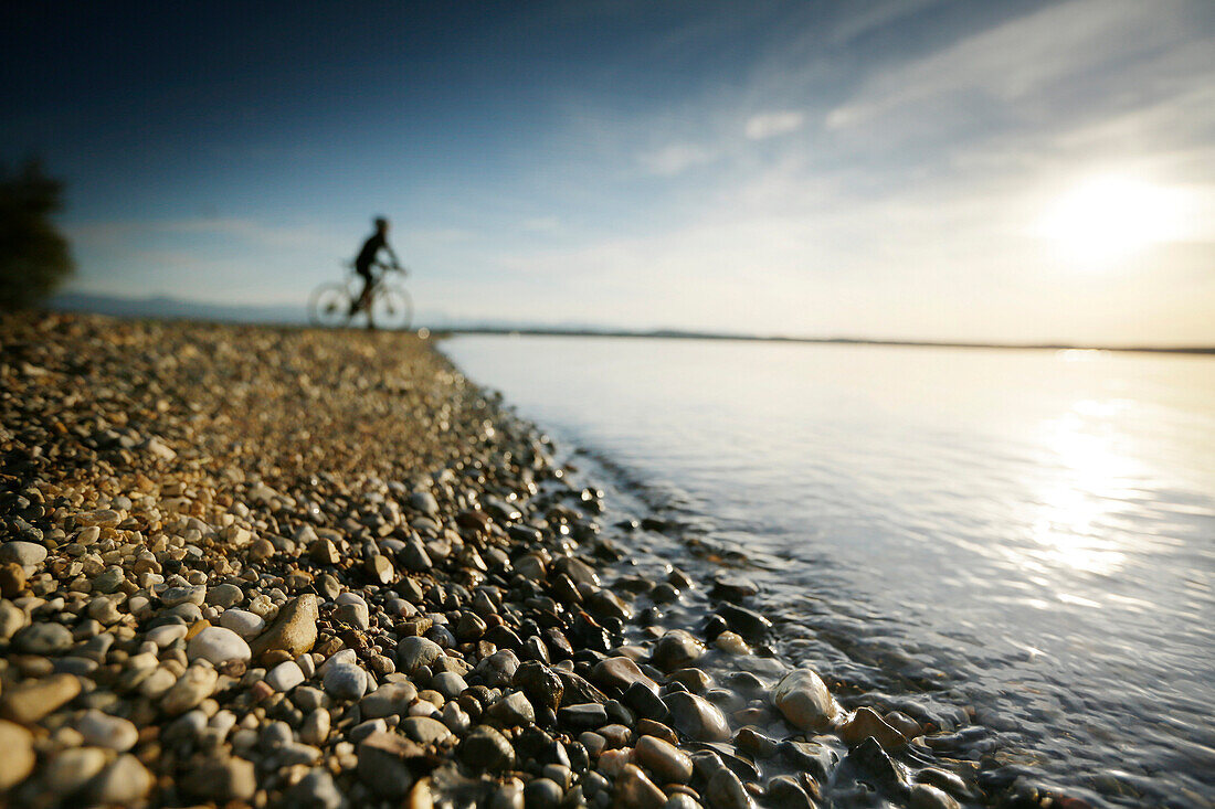 Man cyclocross touring in autumn, Lake Starnberg, Ambach, Munsing, Bavaria, Germany