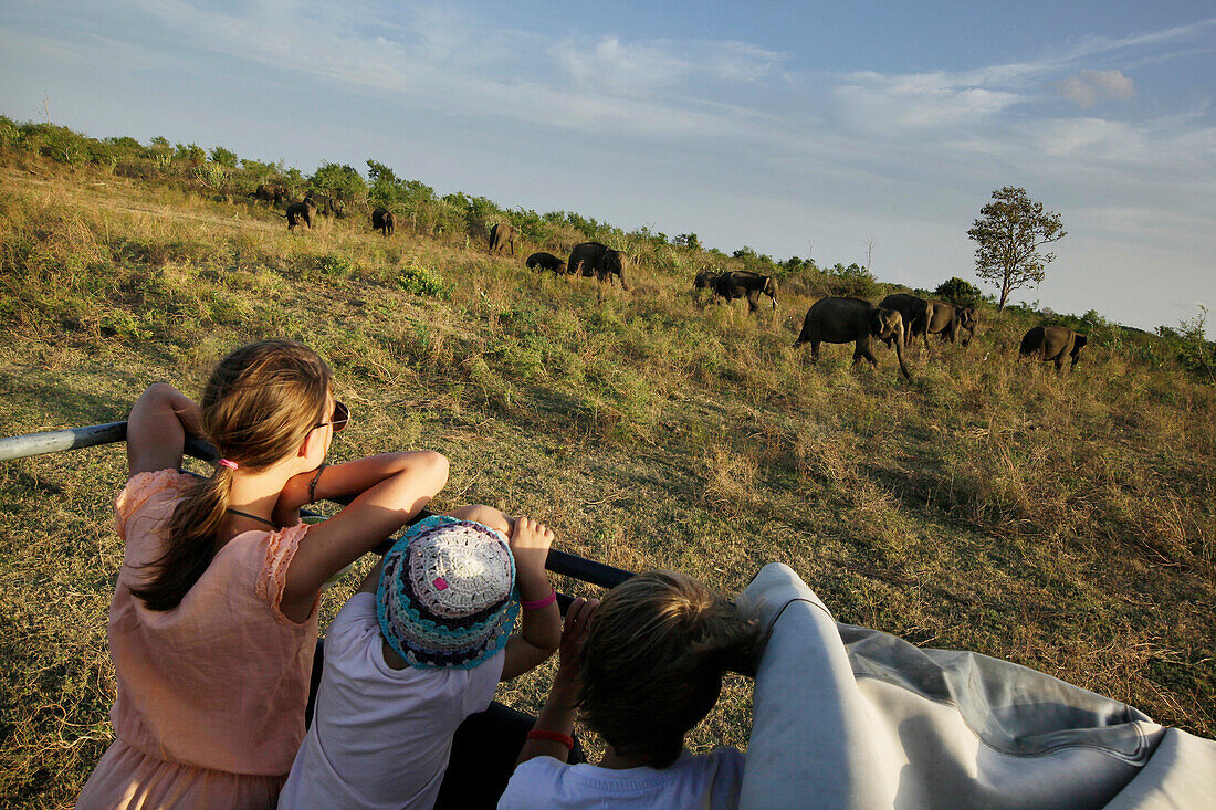 Children on a safari jeep watching elephants, Udawalawe National Park, Sri Lanka