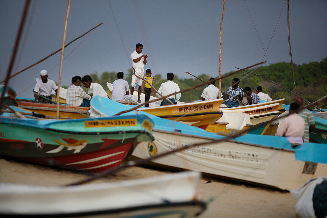 Fischer auf ihren Booten am Strand, Arugam Bay, Ampara Distrikt, Sri Lanka