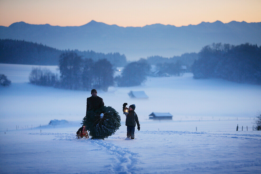 Vater mit zwei Kindern trägt Weihnachtsbaum durch Schnee, Degerndorf, Münsing, Oberbayern, Deutschland