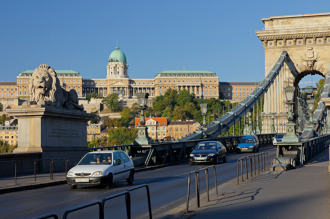 Lionstatue and traffic on the Chain Bridge, Buda Castle, Budapest, Hungary