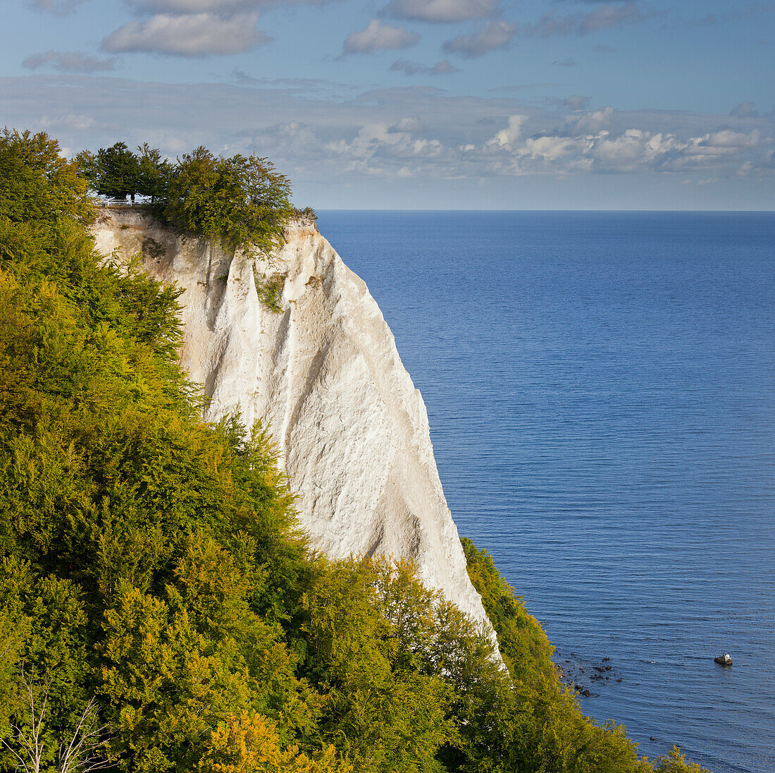 Königsstuhl von der Viktoriasicht, Kreidefelsen, Jasmund Nationalpark, Rügen, Mecklenburg-Vorpommern, Deutschland