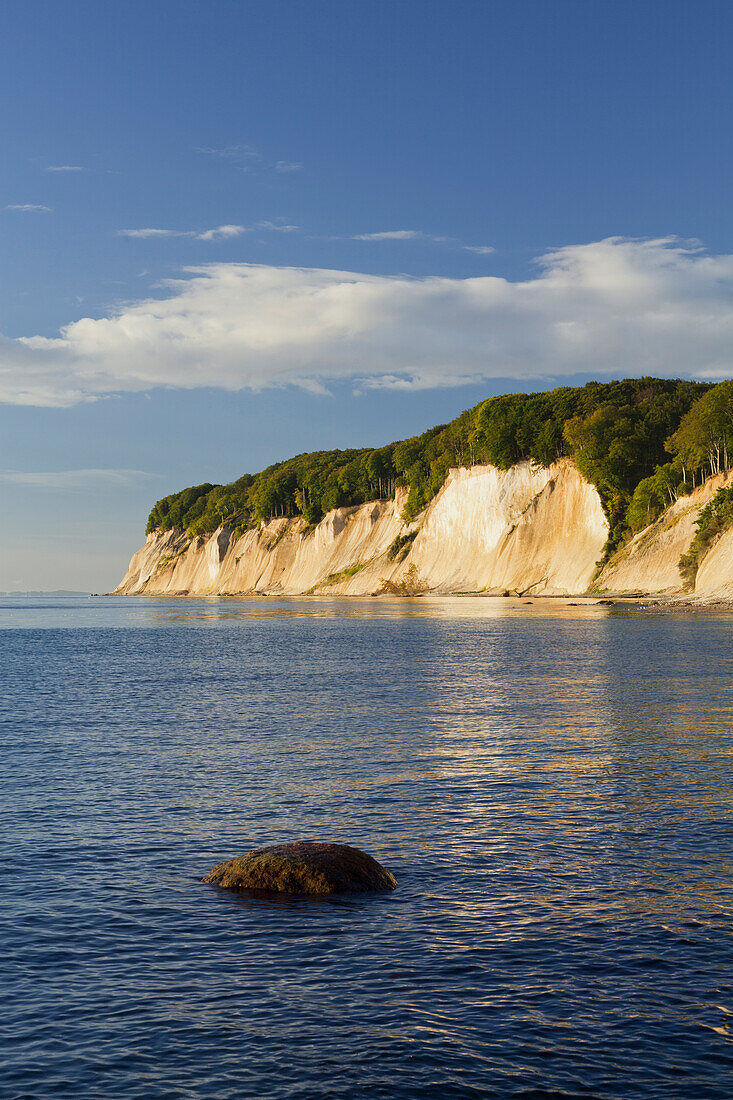 Chalk cliffs, Jasmund National Park, Ruegen, Mecklenburg-Western Pomerania, Germany