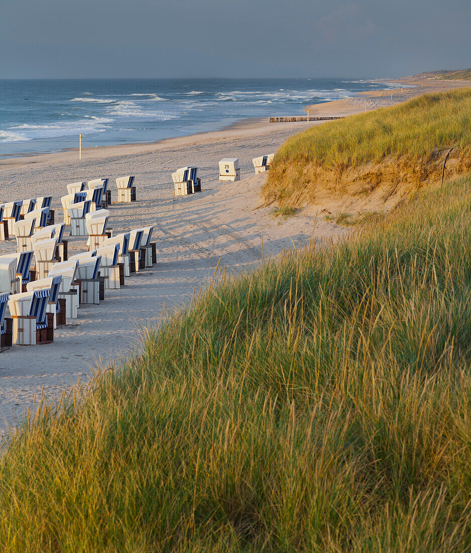 Beach chairs on the beach near Kampen, Sylt, Schleswig-Holstein, Germany