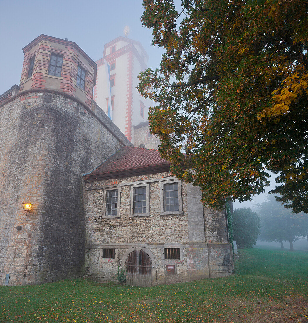 Festung Marienberg im Nebel, Würzburg, Bayern, Deutschland