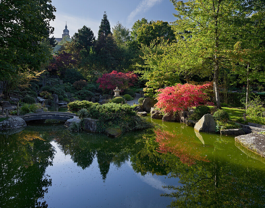 Japanese garden with pond, Marienberg fortress, Wuerzburg, Bavaria, Germany