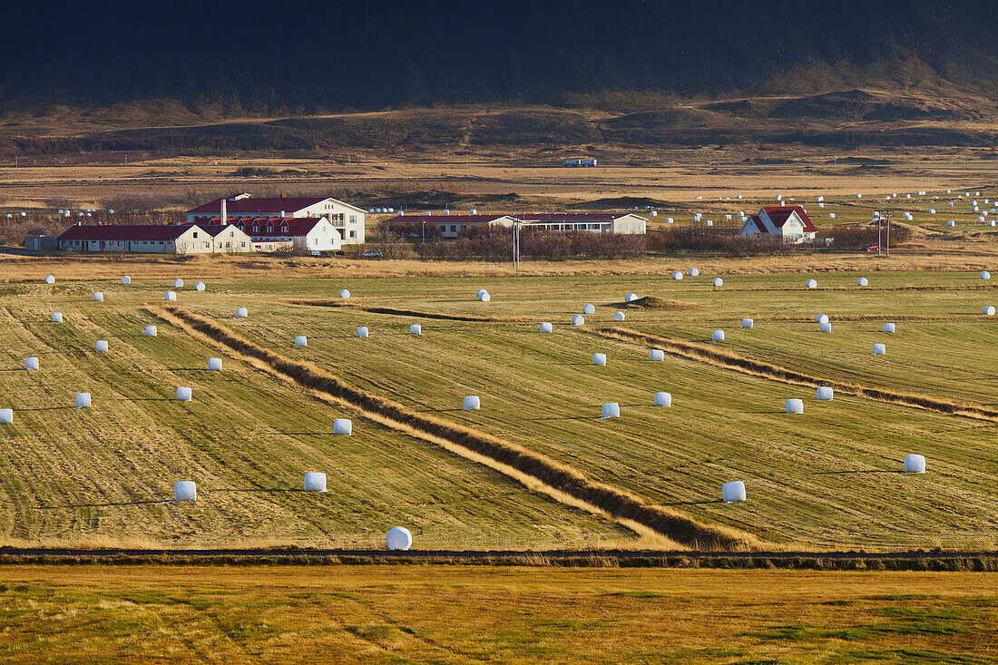 Bales of hay and fields near Brautarholt, West Iceland, Iceland
