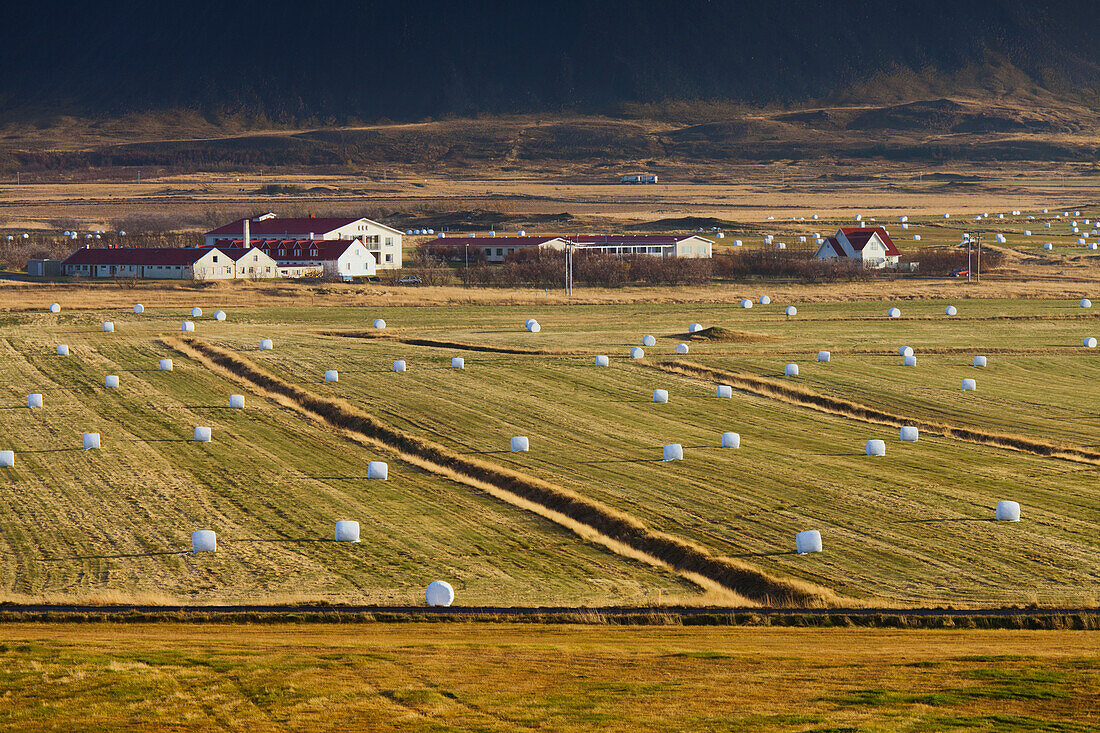 Strohballen und Felder nahe Brautarholt, Westisland, Island