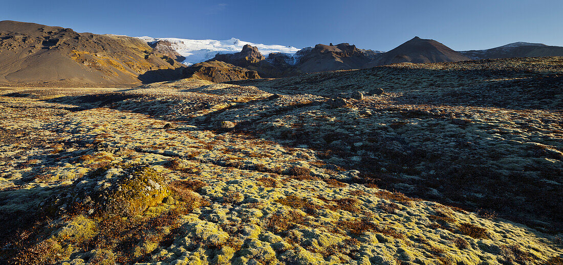 Moss covered landscape, Falljokull, Hvannadalshnjukur, Oraefajokull, East Iceland, Iceland